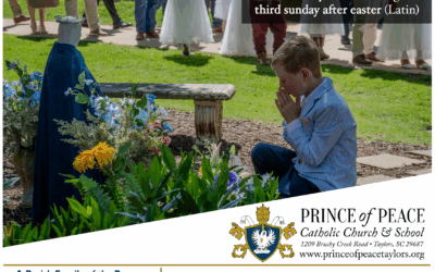 11 May 2025 Bulletin